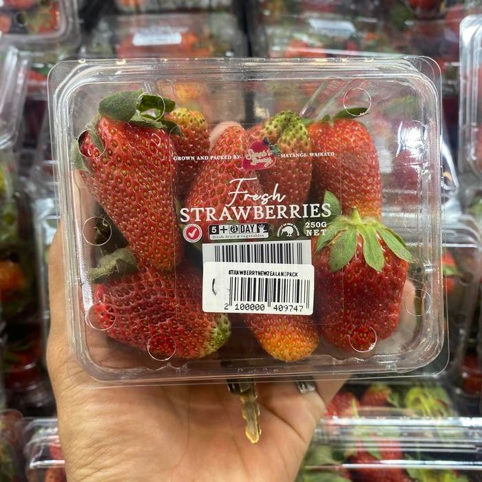 

Buah Strawberry jumbo new zealand fresh pack 250gr