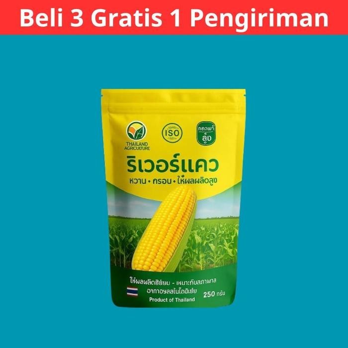 Benih Jagung Manis Thailand (Beli 3 Gratis 1) / Benih F1 Standar - 1 Bungkus