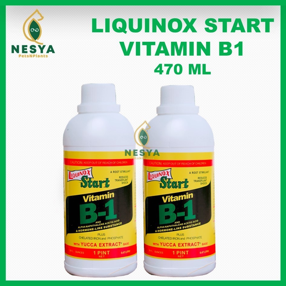 Vitamin B1 Liquinox 470ml Vitamin Anti Stres Tanaman