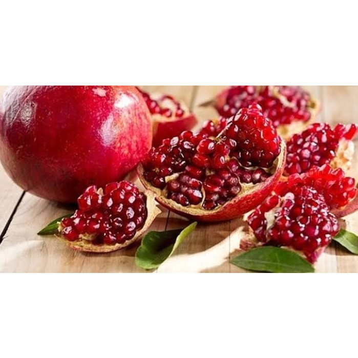 Bibit Delima Merah India BUAH BESAR BIJI LUNAK