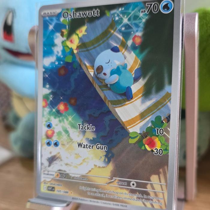 2025  Pokemon  Oshawott  AR  White Flare  EN