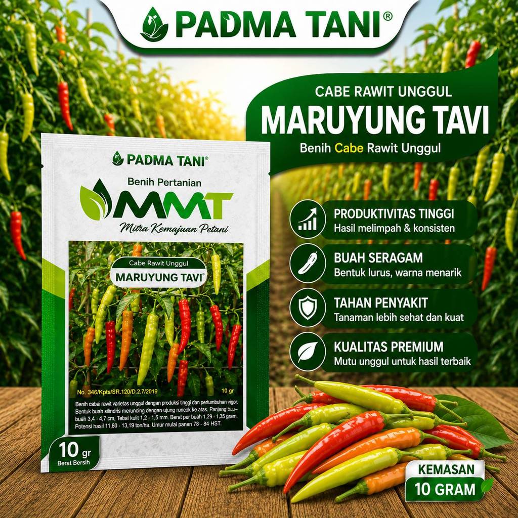 Benih Cabe Rawit MARUYUNG TAVI 10 Gram MMT Mitra Merdeka Tani - Bibit Cabe MARUYUNG  TAVI ORI 212 ka