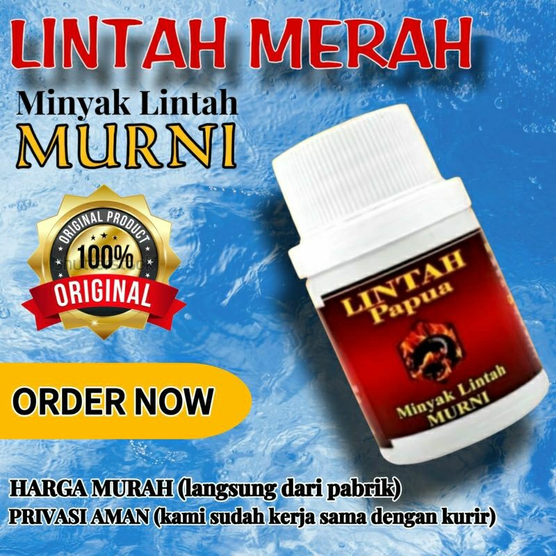 Minyak lintah merah Papua Original Minyak Urut Pria