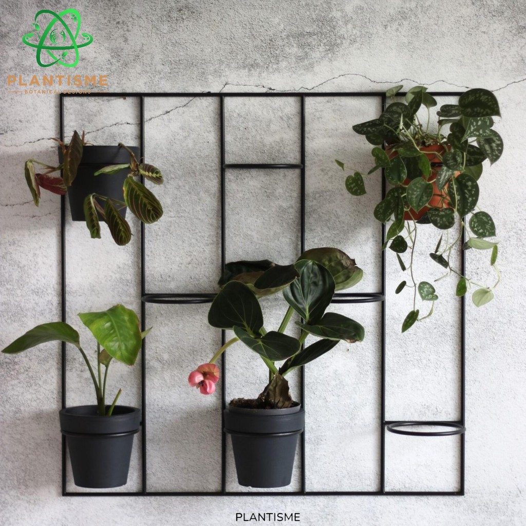 Rak Tanaman - Kwietki Wall Planter Rak Dinding Vertical Besi 8 Pot Desain Grid Taman Dinding Indoor 