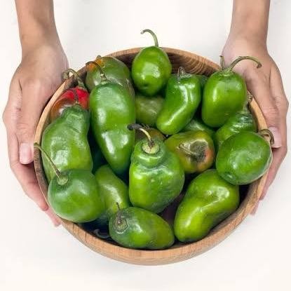 

Cabai Gendot Fresh Cabai Viral Gendot Cabai Jalapeno Lokal Fresh 500 Grm Buah Segar dari Lokal
