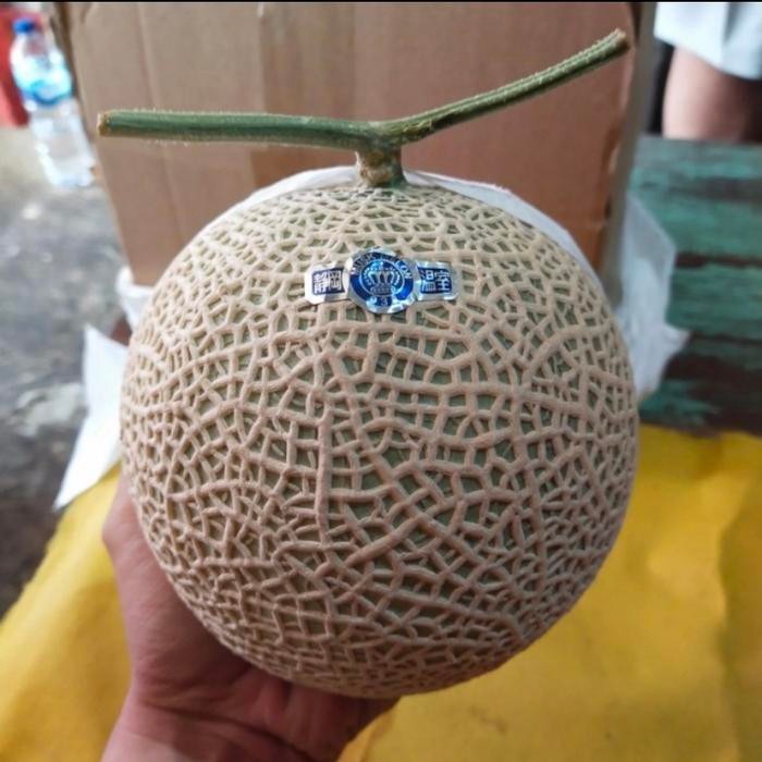 

Melon crown japan/ melon super manis crown jepang original 1,6 kg