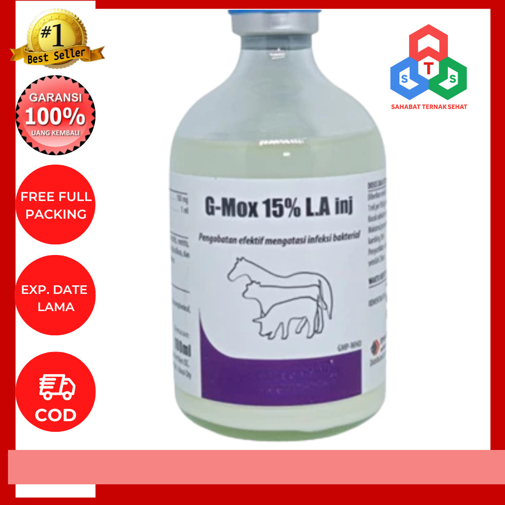 G-MOX 15% LA injek 100ml Anti biotik hewan besar