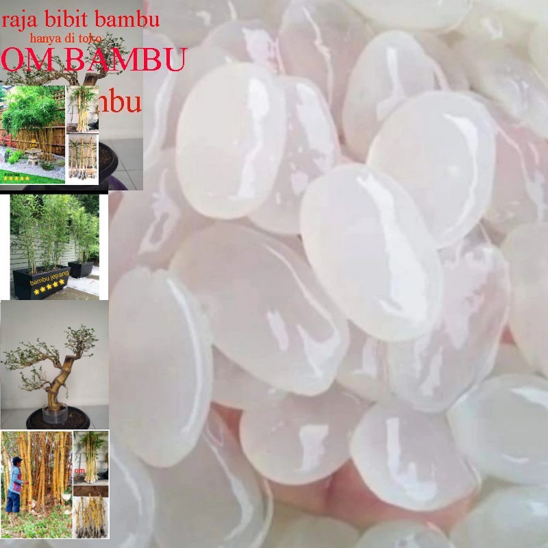 

kolang Kaling Medan super Tanpa Pengawet besellr