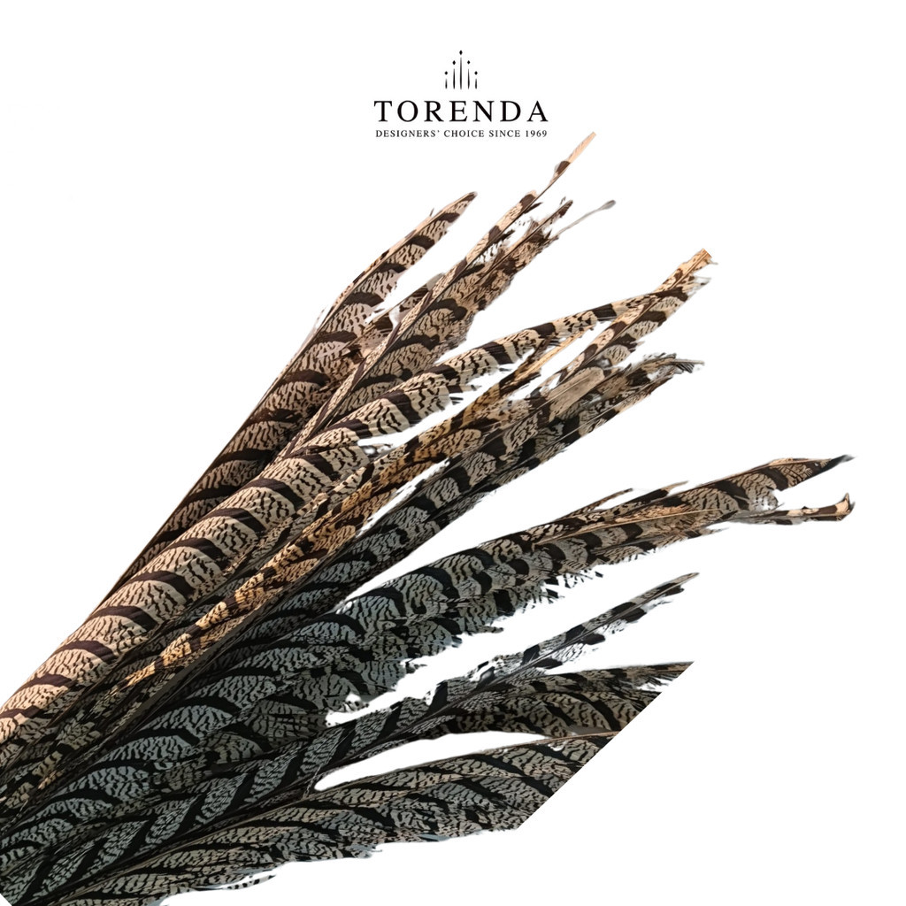 TERASHOP Torenda Payet Bulu Antik Sun Go Kong Bulu Ayam Natural Pheasant Tail Feathers Pheonix