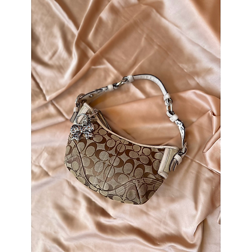 Coach Hobo Mini Signature Bag