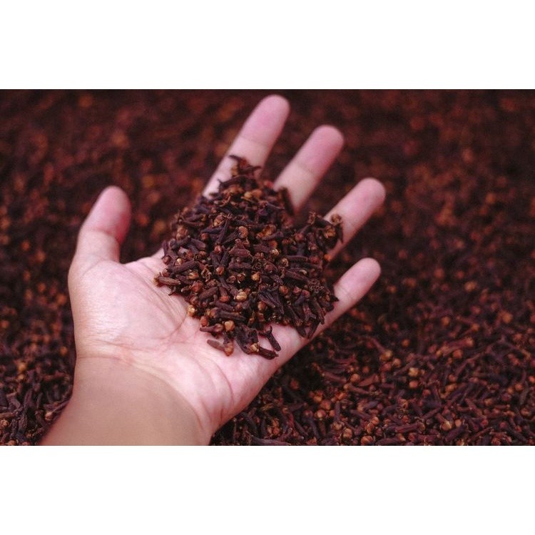 Cengkeh Super / Cloves / Cengkeh Kering Asli / Rempah Kualitas Premium
