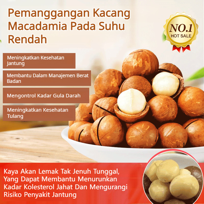 

✨COD + Gratis Ongkir✨ 【King Of Fruits】 Kacang Macadamia Panggang Suhu Rendah / Kacang Macadamia Australia Grade A / Kacang Macadamia Organik / Rasa Krim Besar / Camilan Sehat Panggang Suhu Rendah