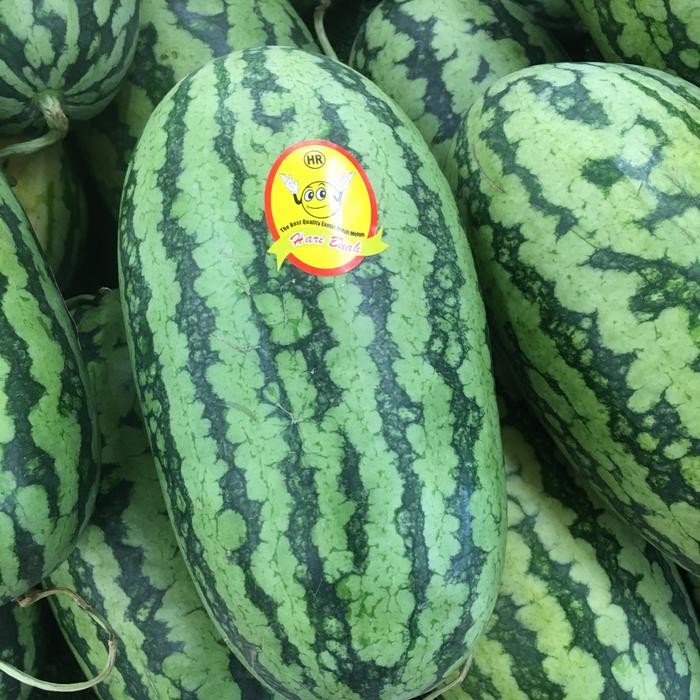 

Buah Semangka loreng merah biji