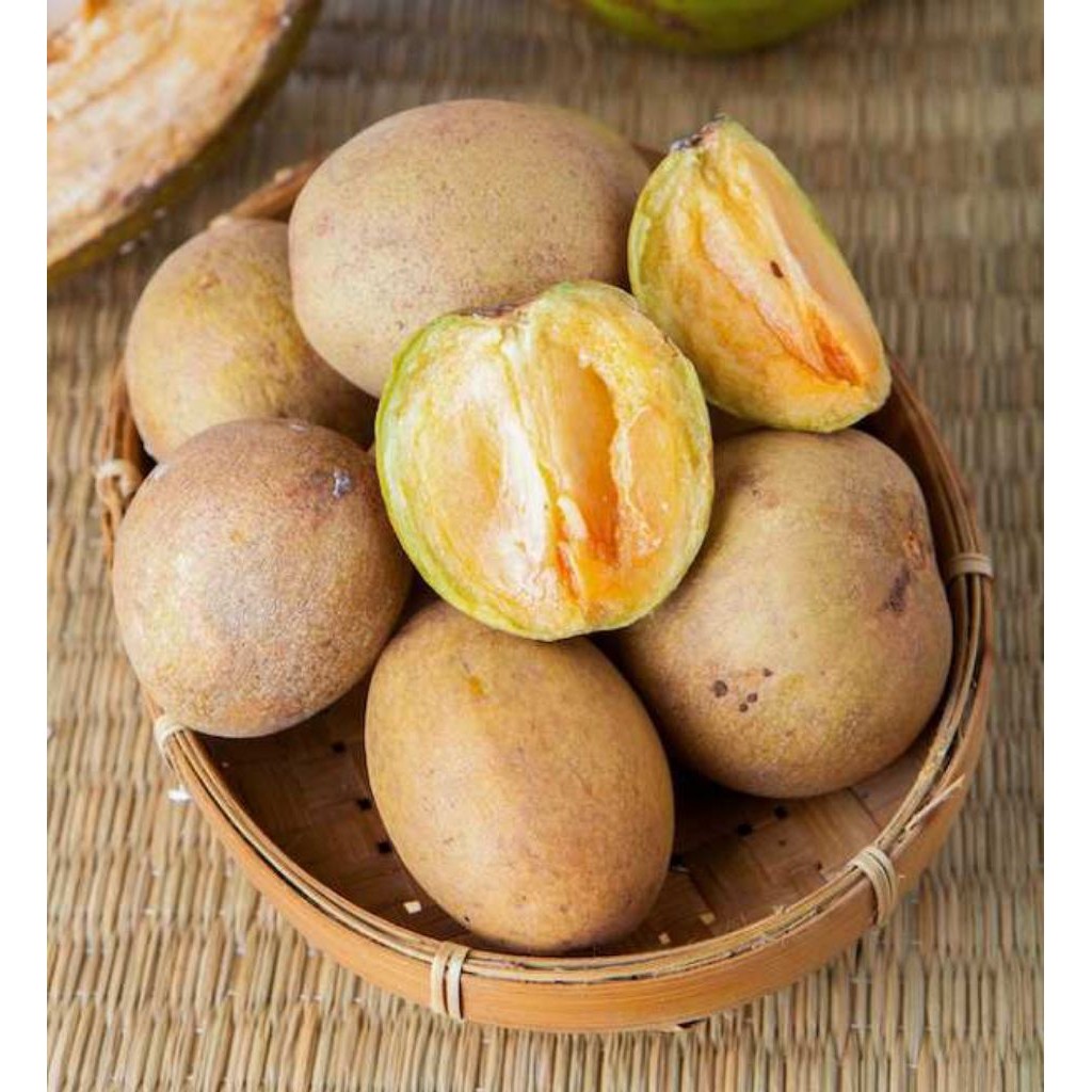 

[SJ] Paket hemat Buah sawo 2kg Mentah tua manis Grade A ready stock