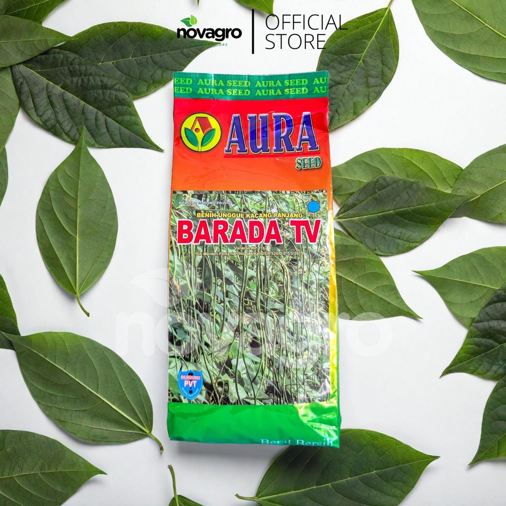 Benih Kacang Panjang Barada 500GR - Aura Seed Indonesia