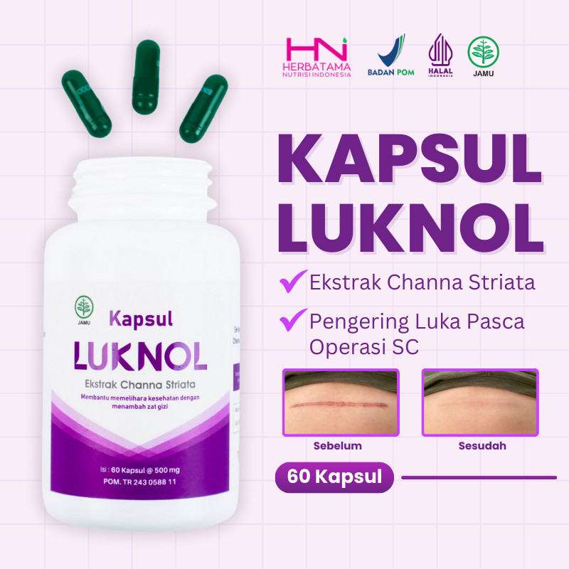 LUKNOL – Kapsul Ikan Gabus / Albumin Ikan Gabus  Ori / Obat Luka Operasi / Pengering Luka  Operasi