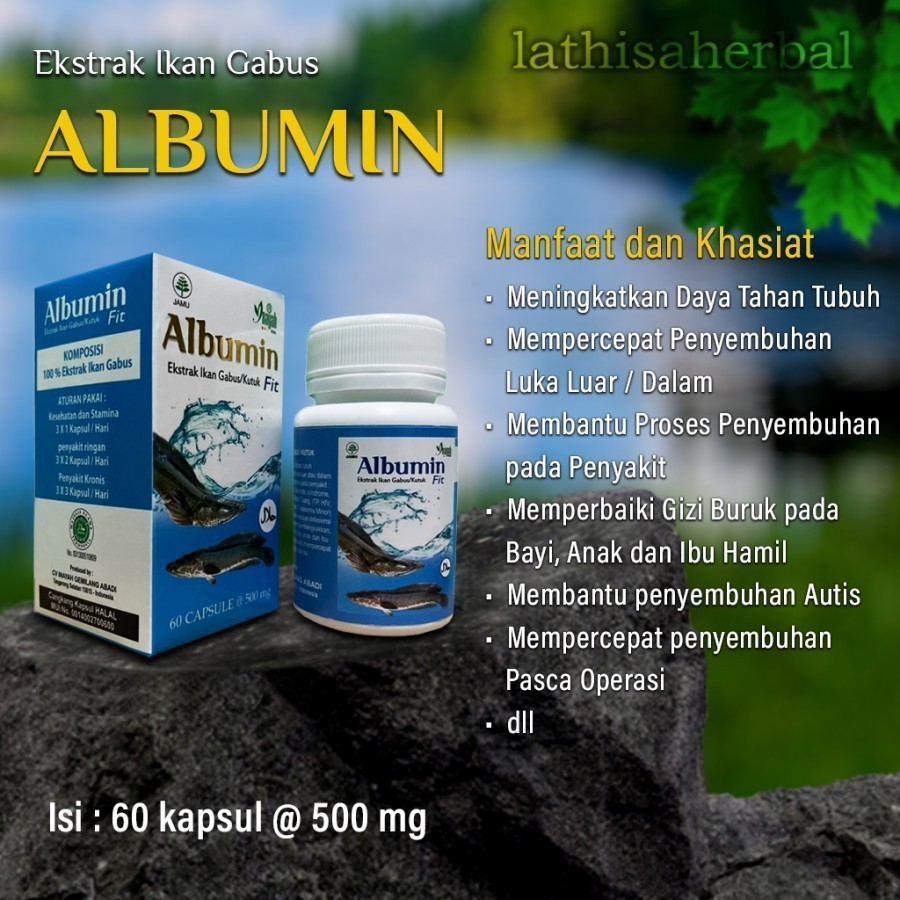 Ekstrak ikan gabus ALBUMIN EKSTRAK IKAN GABUS KUTUK KAPSUL