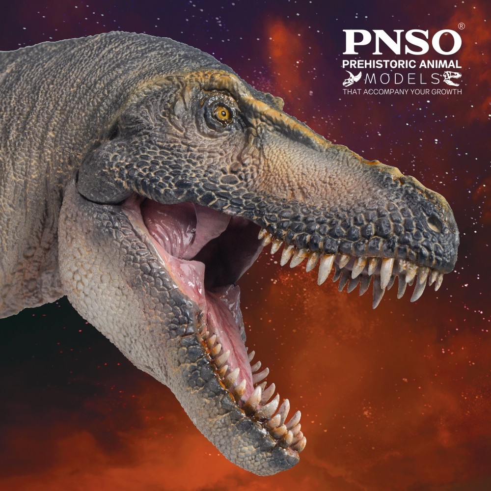 PNSO Prehistoric nosaur Models:51 uanzi The Tarbosaurus