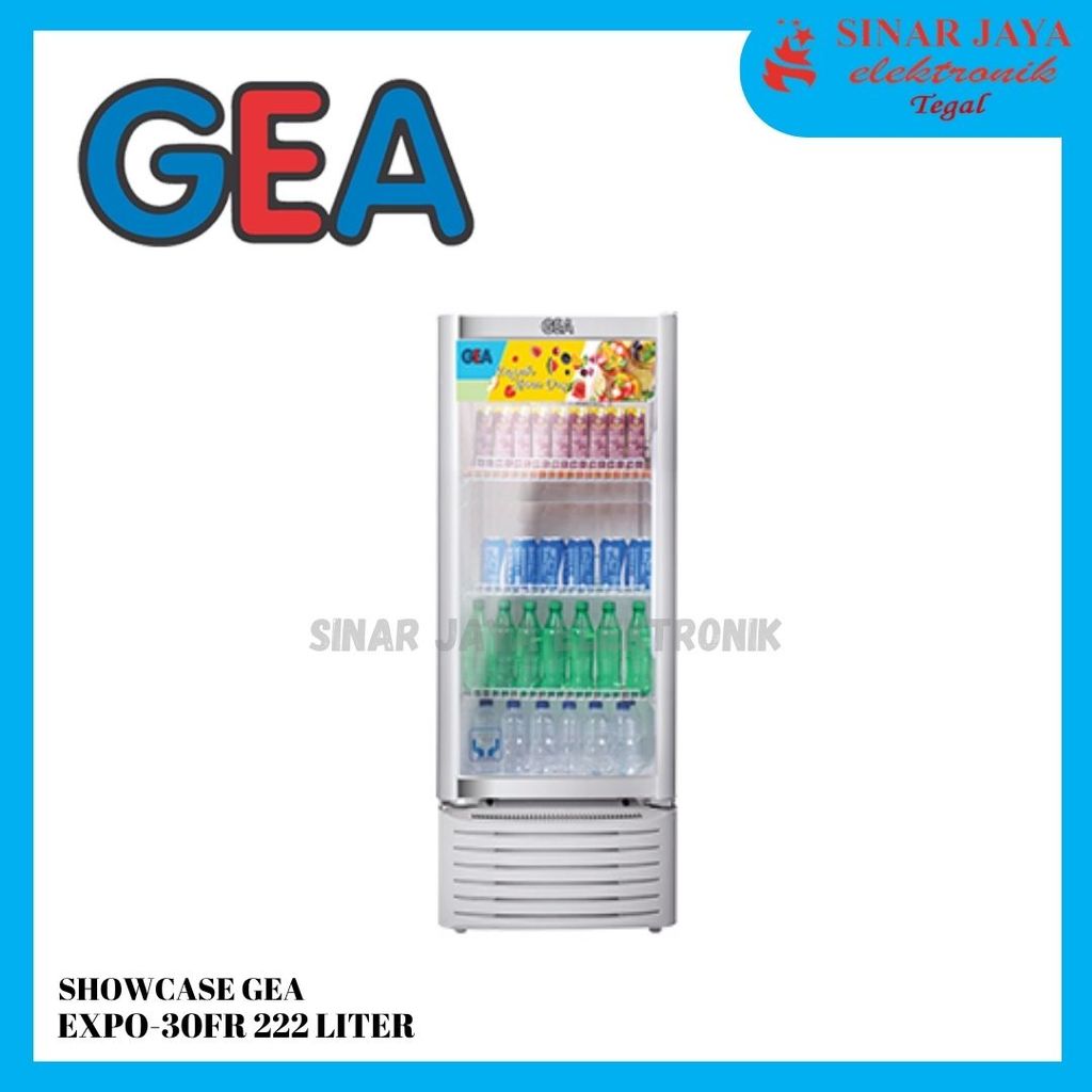 SHOWCASE GEA EXPO-30FR 222 LITER 4 RAK