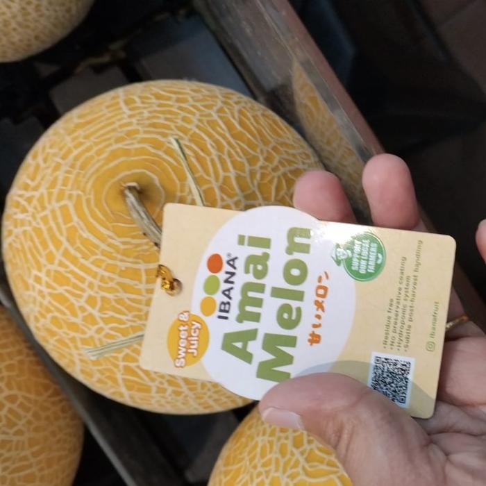 

Melon Inthanon Ibana pasti manis juicy/ pics