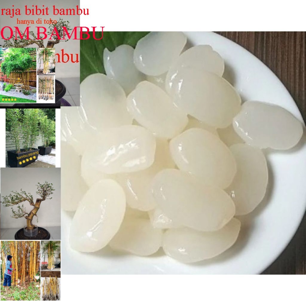 

kaling kaling segar kolang kaling super kolang kaling medan bahan manisan 1 kg besellr