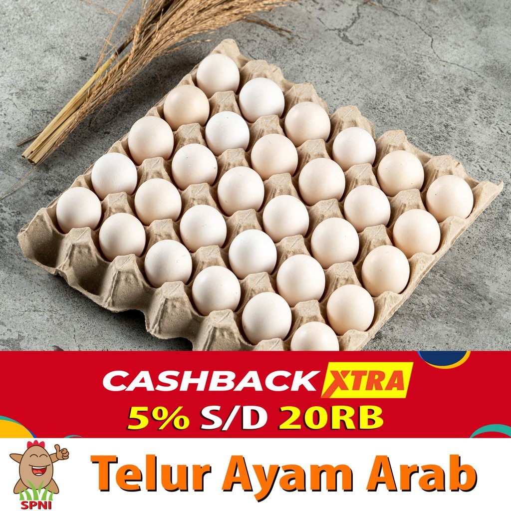 

Telur Ayam Arab SPNI (30 Butir)