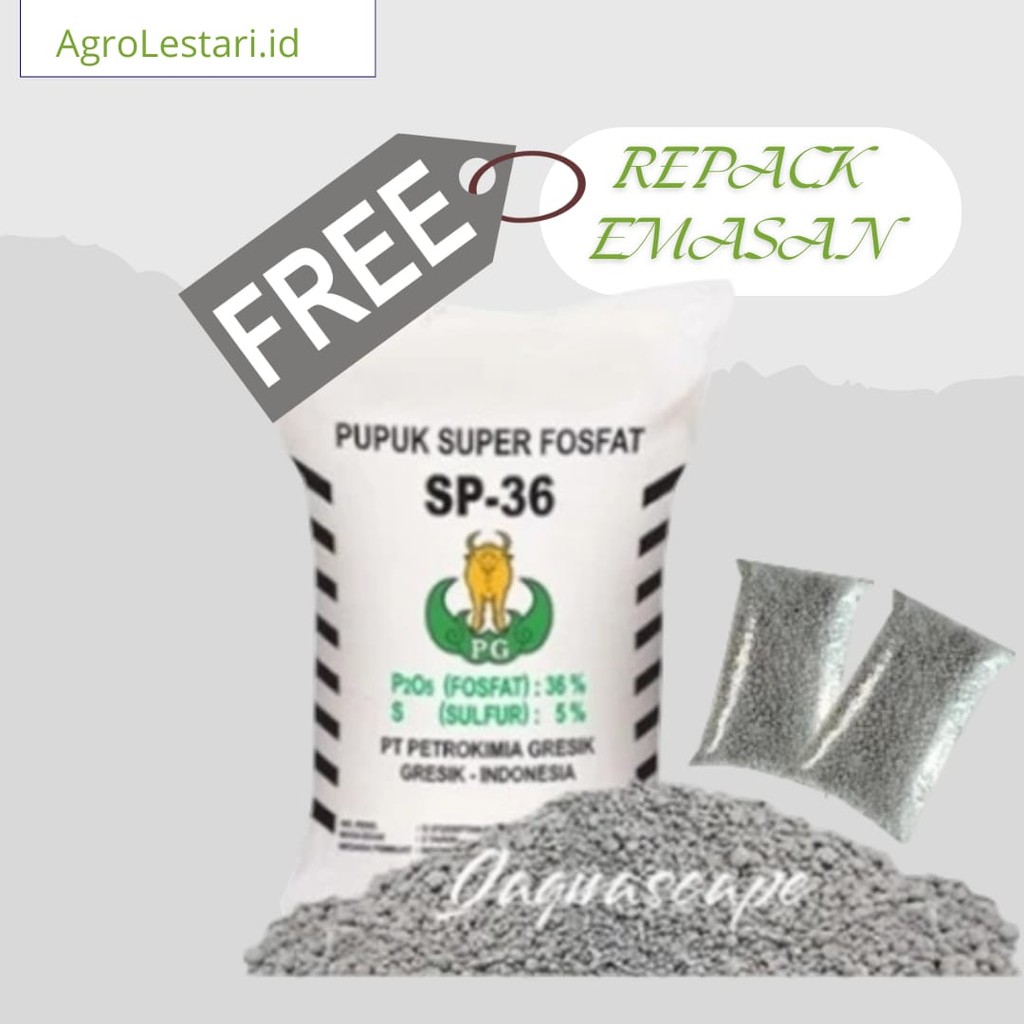 Pupuk TSP 50 Kg, Pupuk Super Fosfat SP 36, Pupuk TS Kemasan Repack
