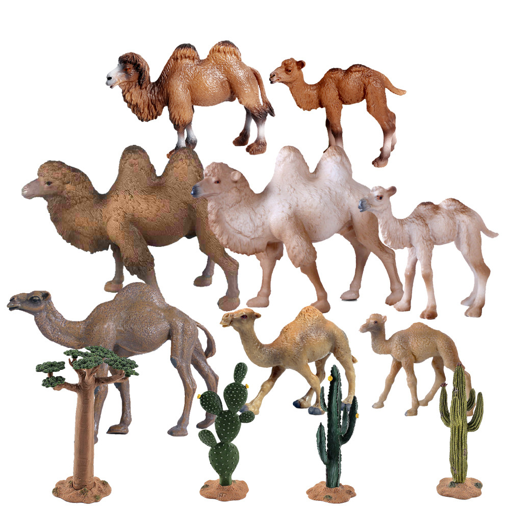Simulation Animal Figurines Desert Camel Solid Static Model Double-Humped Dromedary Camel Figure Edu