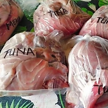 tetelan tuna