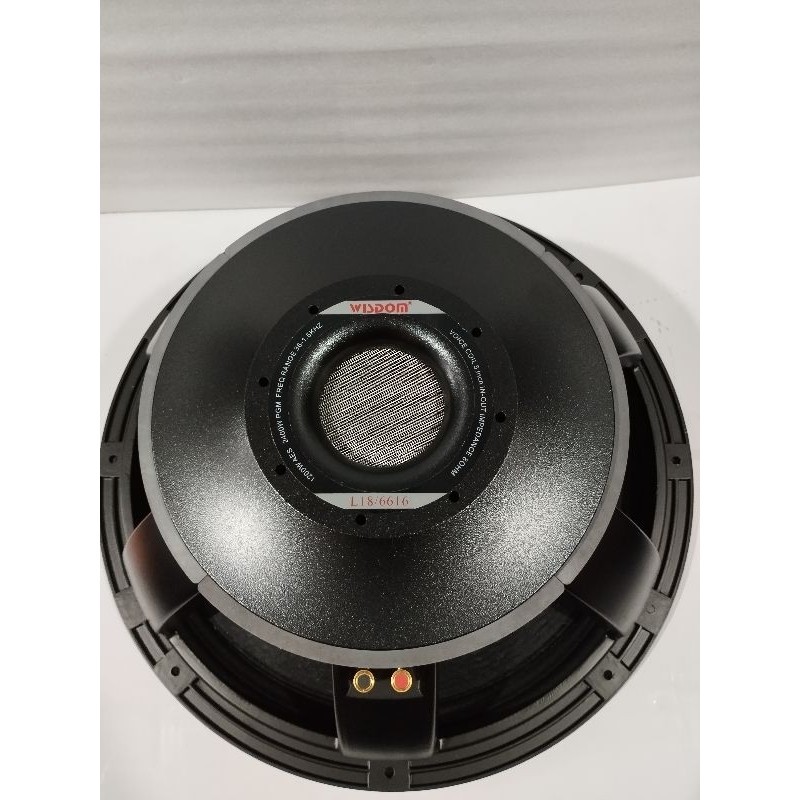 SPEAKER WISDOM 18 INCH L18/6616