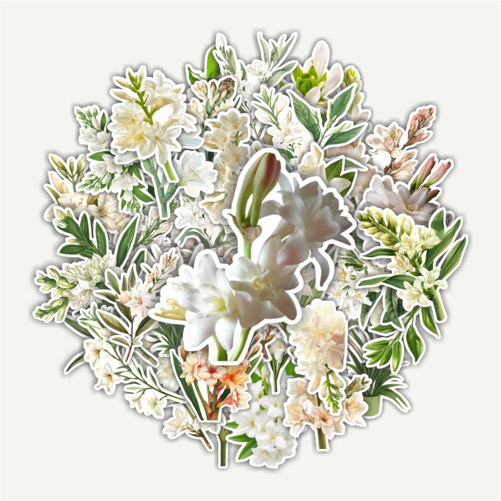 

Sticker Pack Stiker Tuberose Flower [Bunga Sedap Malam] Dekorasi Lucu Kreatif untuk Notebook, Skateboard, HP