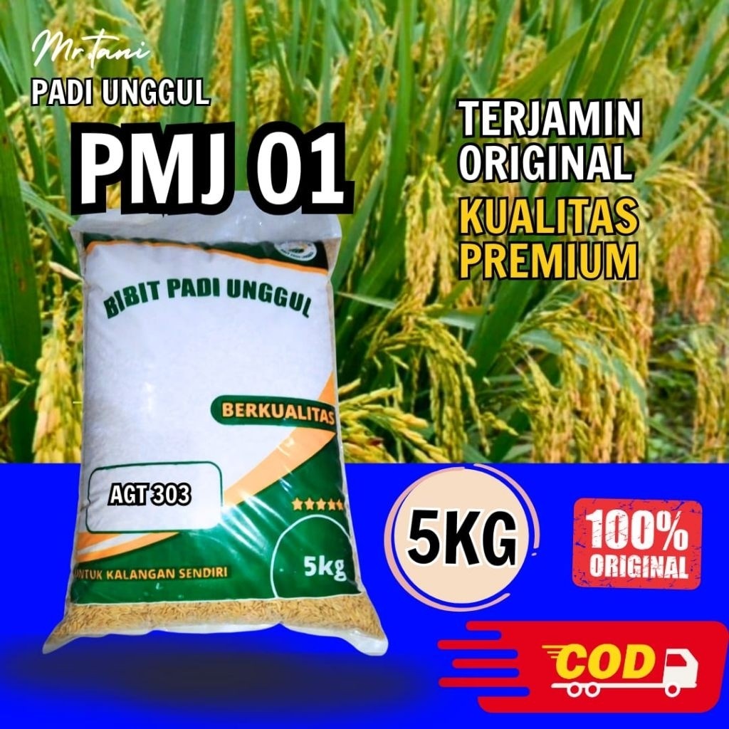MIRAL_SHOP bibit padi unggul dan berkualitas bibit padi PMJ01 5kg