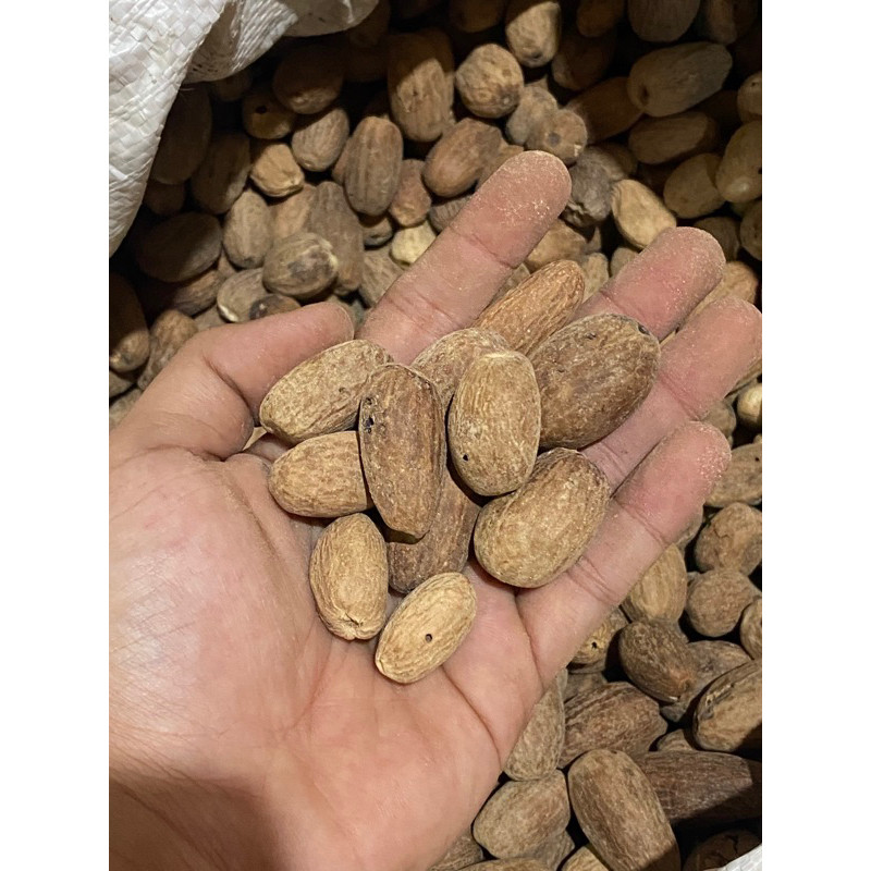 Biji Pala Kupas Lonjong kemasan 1kg /Pala Kupas Rempah Bumbu Dapur