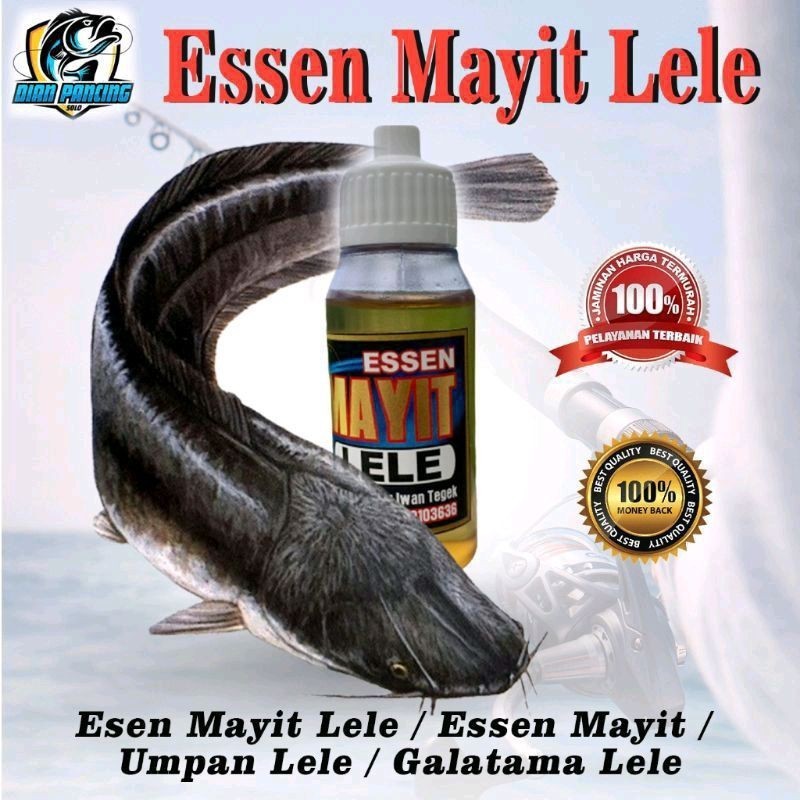 Esen Mayit Lele / Essen Mayit / Umpan Lele / Galatama Lele - ORIGINAL