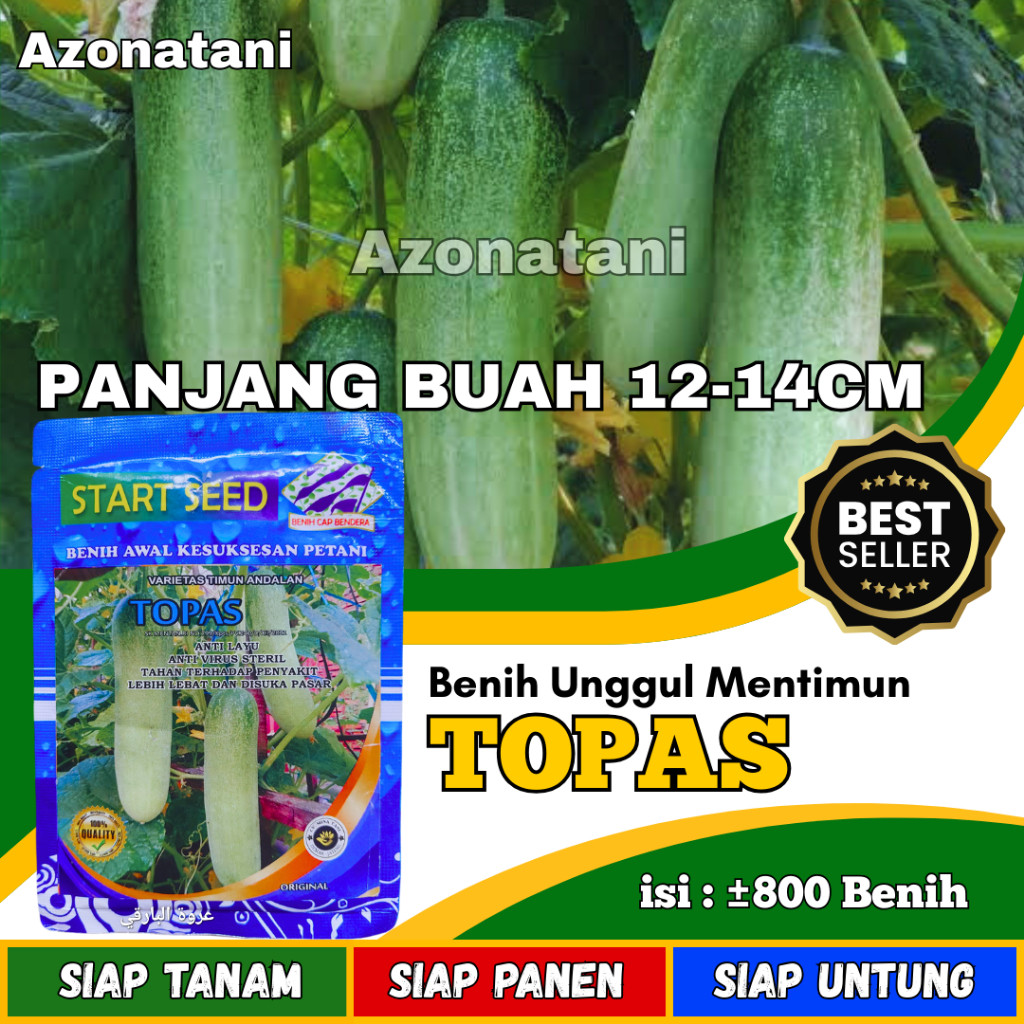 lnv - Bibit Timun Lalap TOPAS Benih timun lalap | bibit timun unggul | bibit timun lalap premium