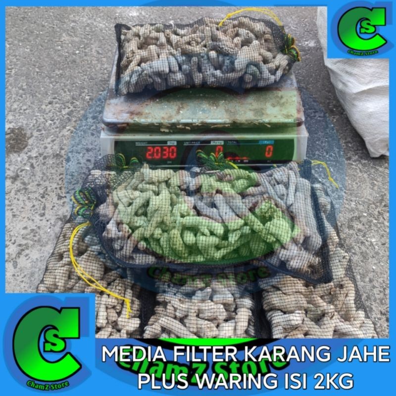 karang jahe media filter plus waring isi 2kg / karang jahe media filter kolam / karang jahe media fi