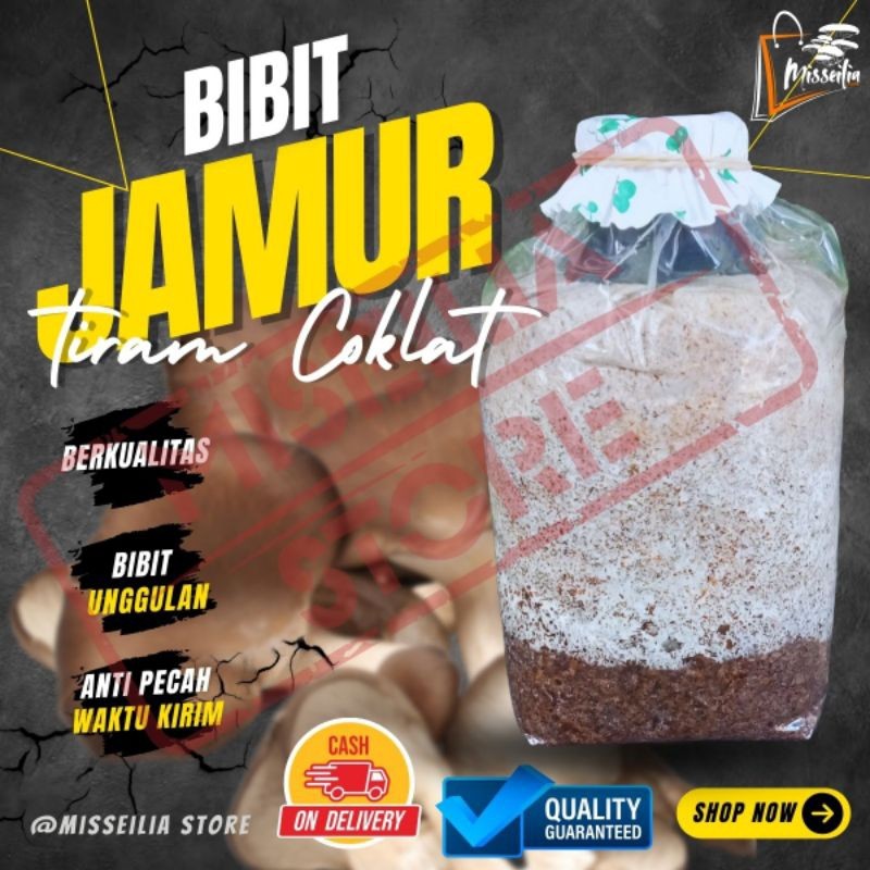 

Bibit Jamur F2 Tiram Coklat Benih Berkualitas Terbaik Siap Tanam Tabur Tebar
