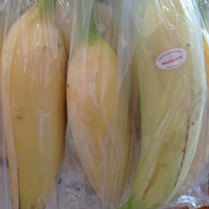 

pisang tanduk super bogatani pcs