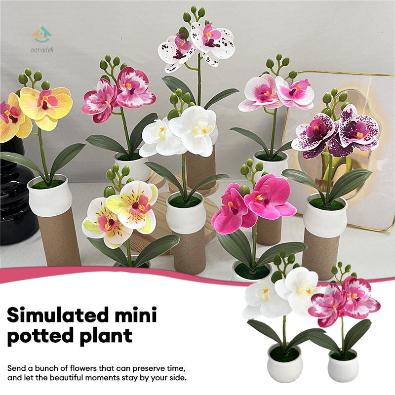 COD️Tanaman Pot Anggrek Ngengat Mini Ornamen Plastik Simulasi Bunga Dekorasi Fotografi Pernikahan