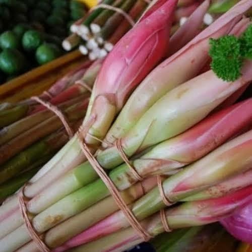 

Bunga Kecombrang Segar Fresh Honje Rombeh Kecombrang Fresh 1 Pcs