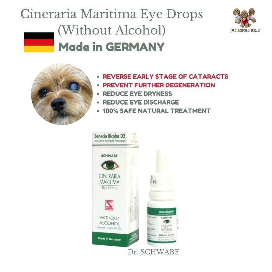 CINERARIA MARITIMA - Tetes Mata untuk KATARAK - CATARACT EYE DROP - Obat Mata Anjing Kucing