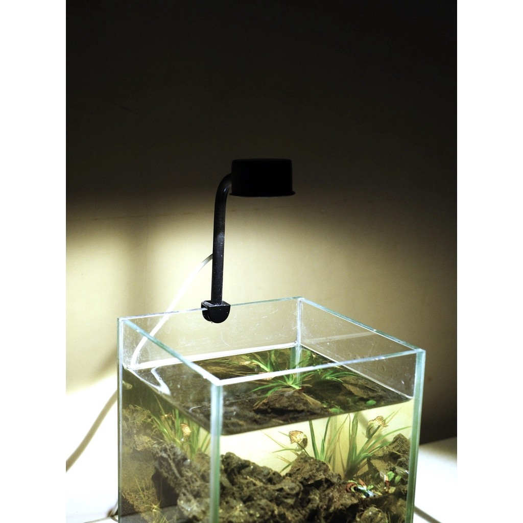 Lampu Bulat Aquarium Aestethic Lampu Kura-Kura Lampu Cupang Lampu LED USB Lampu Channa Lampu Ikan Hi
