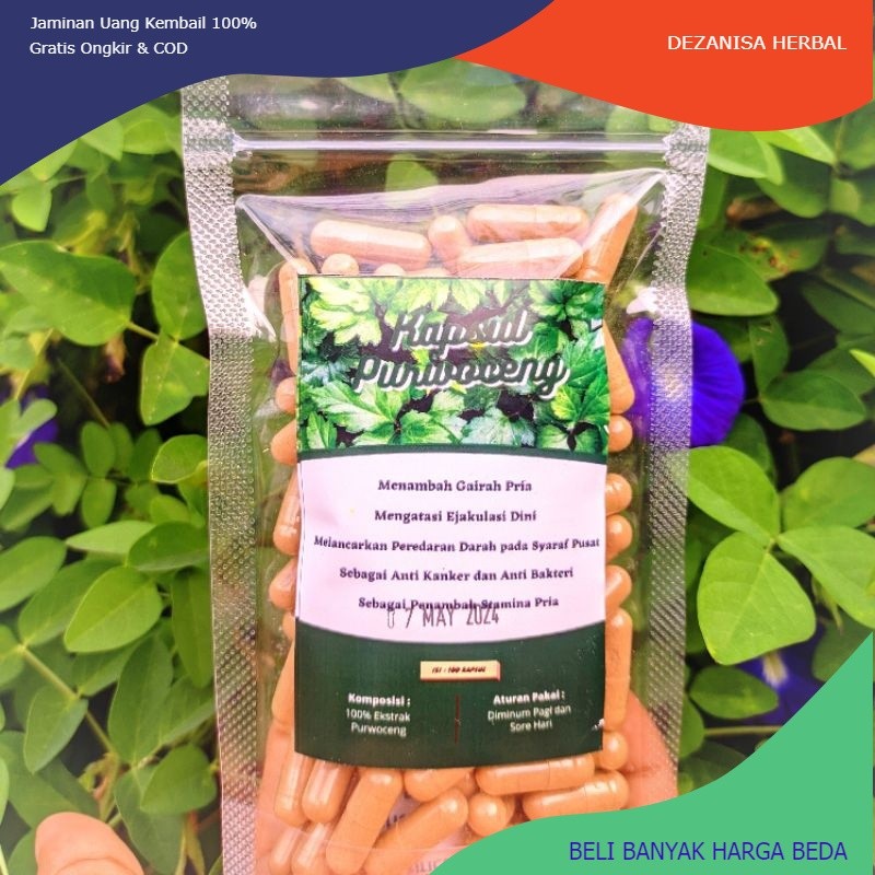 Kapsul Purwoceng (isi 100) Jamu Jerbal
