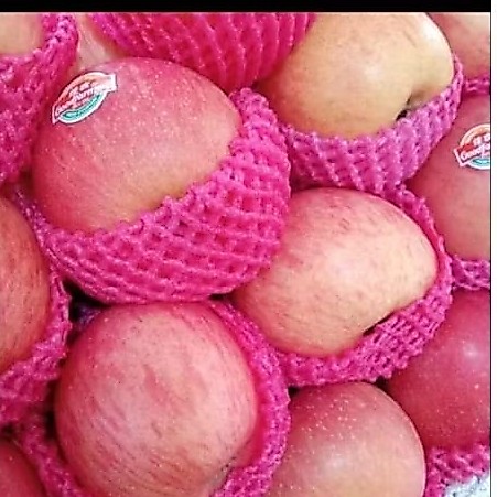 buah apel 1kg