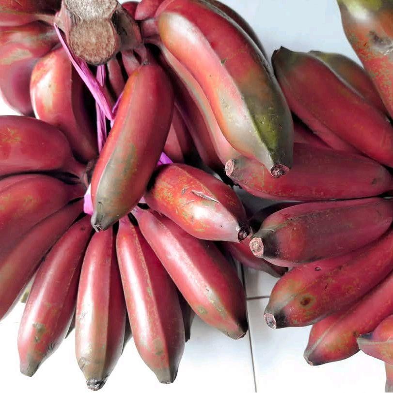 

Pisang Merah / Pisang Gendis 1 kg - Buah Sejuta Manfaat Manis Makanan Segar