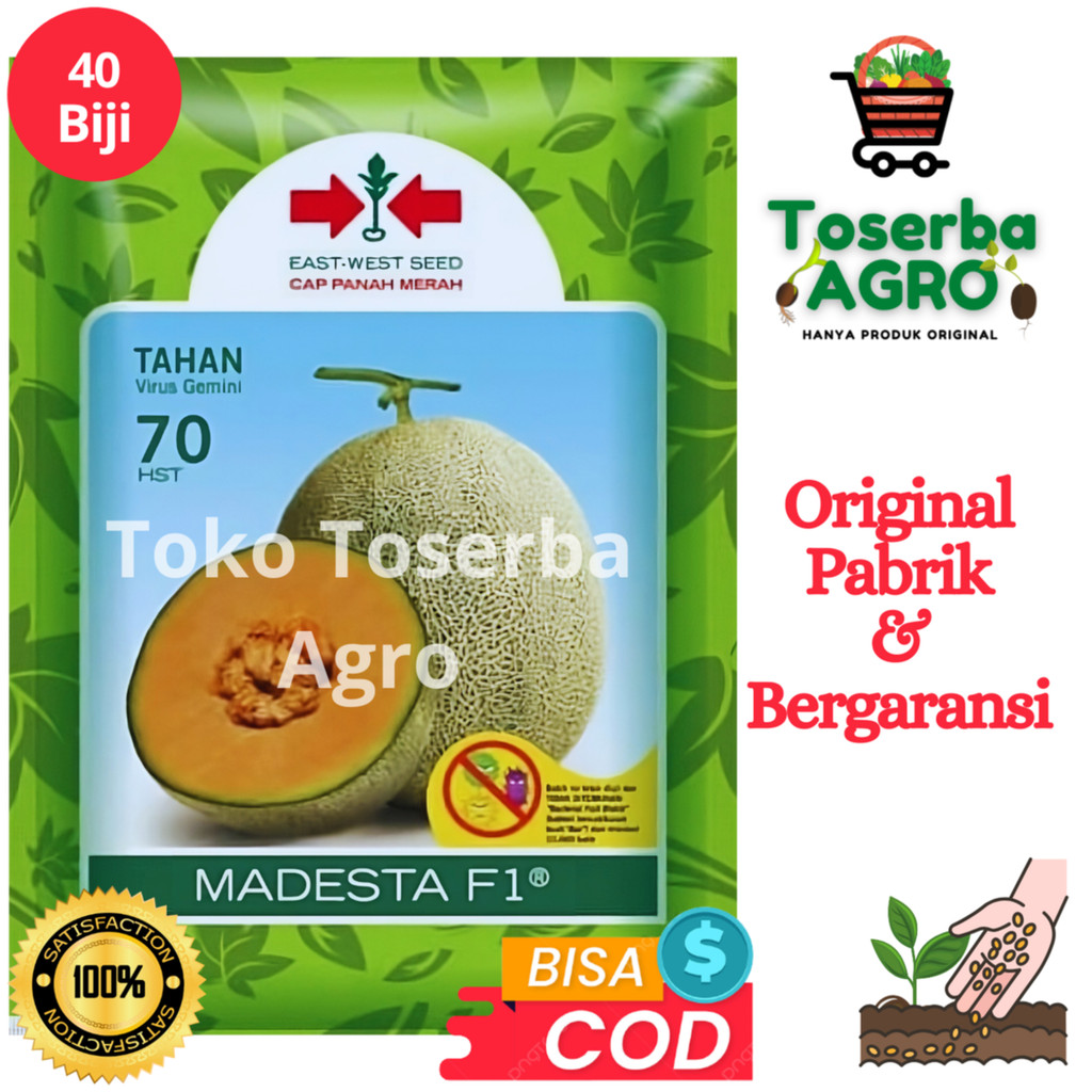 Benih Bibit Biji Melon Orange Cantaloupe New MADESTA 40 Butir Cap Panah Merah Rock Melon