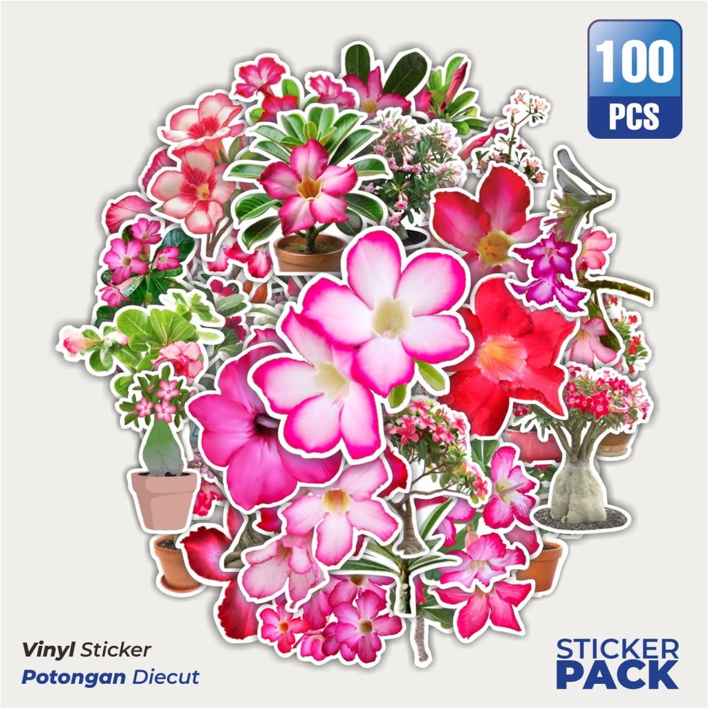 

MURAH 100 PCS Stiker Bunga Adenium Flower Waterproof Aesthetic- Untuk Laptop, Motor, dan Helm - Paper Stationery Pack