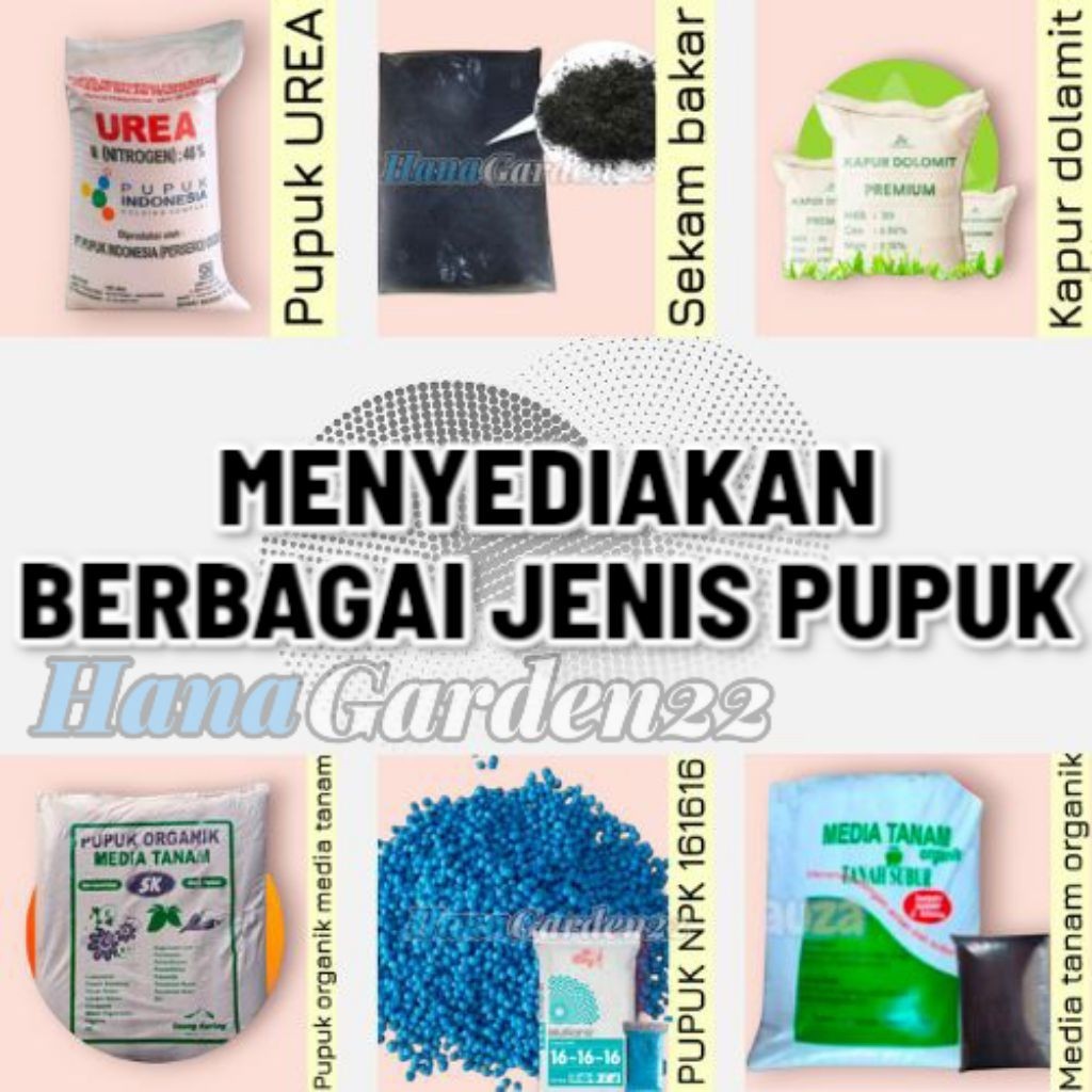 BERBAGAI JENIS PUPUK Sekam Bakar NPK UREA KAPUR DOLAMIT Dan Media Tanam Lain Nya