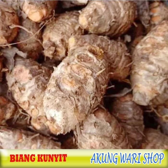 Biang Kunyit / Pala Kunyit 1Kg