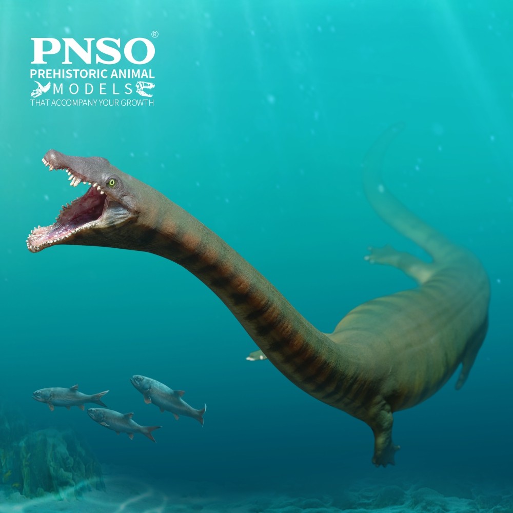 PNSO Prehistoric nosaur Models:91 Xiaoong The nocephalosaurus
